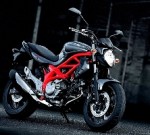 Вышел в свет новенький Suzuki SFV650 Gladius