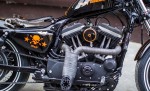 Алексадр Толмацкий собрал мотоцикл Sportster Forty Eight