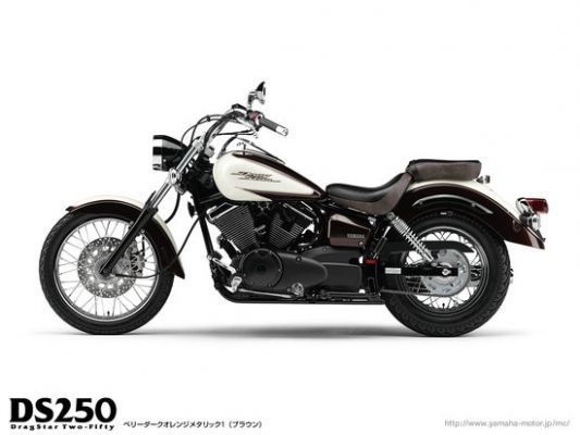 Фотография DS250 Drag Star Two Fifty