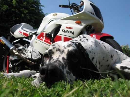 Мотоцикл YZF 750 R 1993 Фотография YZF 750 R 1993