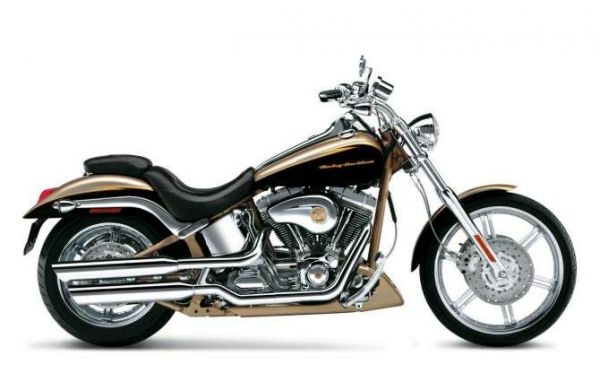 Фотография FXSTDSE Screamin\' Eagle Softail Deuce (2003)