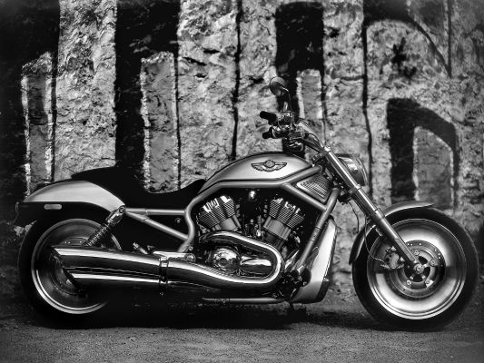 Фотография VRSCA V-Rod 100th Anniversary Edition (2003)