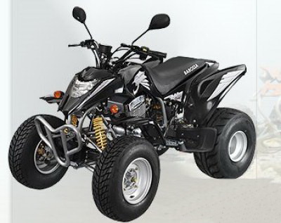 Мотоцикл MAM 250 (2009) Фотография MAM 250 (2009)