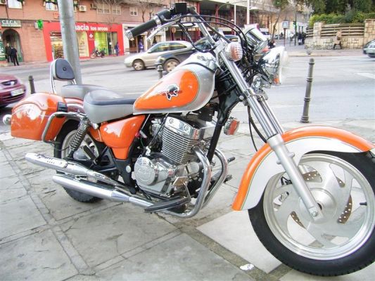 Мотоцикл Custom Guepard 250 (2008) Фотография Custom Guepard 250 (2008)