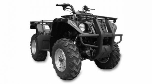 Фотография JS400ATV (2011)