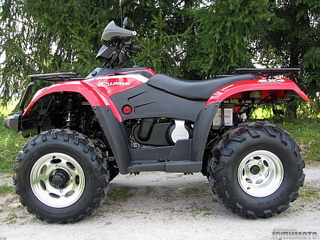 Фотография ATV Goon 260 (2010)