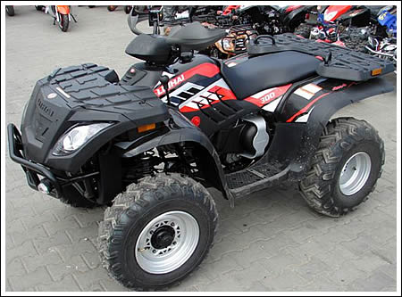 Фотография ATV Muddy 300 (2010)