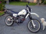 XT 550 (reduced effect)