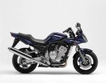  Мотоцикл FZS1000 Fazer: Эксплуатация, руководство, цены, стоимость и расход топлива 