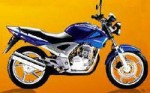  Мотоцикл CBX 250 Twister 2000: Эксплуатация, руководство, цены, стоимость и расход топлива 