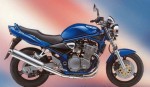 Информация по эксплуатации, максимальная скорость, расход топлива, фото и видео мотоциклов GSF600N Bandit (2000)