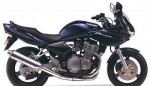 Информация по эксплуатации, максимальная скорость, расход топлива, фото и видео мотоциклов GSF600S Bandit (2000)