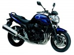 Информация по эксплуатации, максимальная скорость, расход топлива, фото и видео мотоциклов GSF650N Bandit (2009)