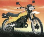 Информация по эксплуатации, максимальная скорость, расход топлива, фото и видео мотоциклов TS125 Duster (1971)