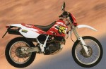 Информация по эксплуатации, максимальная скорость, расход топлива, фото и видео мотоциклов TT600E Bellgarda 4LW (1995)