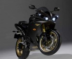 Информация по эксплуатации, максимальная скорость, расход топлива, фото и видео мотоциклов YZF-1000 R1 (2009)