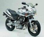  Мотоцикл CB600S Hornet (2000): Эксплуатация, руководство, цены, стоимость и расход топлива 