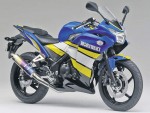Информация по эксплуатации, максимальная скорость, расход топлива, фото и видео мотоциклов CBR250R Moriwaki (2011)