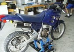  Мотоцикл NX250 Dominator (1988): Эксплуатация, руководство, цены, стоимость и расход топлива 