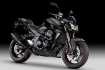 Информация по эксплуатации, максимальная скорость, расход топлива, фото и видео мотоциклов Z750R Black Special Edition (2012)