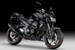 Z750R Black Special Edition (2012)