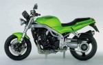  Мотоцикл Speed Triple 955i (1999): Эксплуатация, руководство, цены, стоимость и расход топлива 