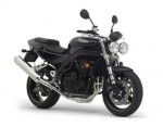  Мотоцикл Speed Triple 955i SE (2004): Эксплуатация, руководство, цены, стоимость и расход топлива 