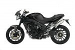 Speed Triple Carbon Limited Edition (2009)