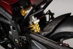 Информация по эксплуатации, максимальная скорость, расход топлива, фото и видео мотоциклов Speed Triple Special Edition (2010)