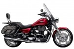  Мотоцикл Thunderbird 1600 SE (2010): Эксплуатация, руководство, цены, стоимость и расход топлива 