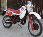 Elefant 125 (1986)