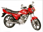  Мотоцикл RL125 (2008): Эксплуатация, руководство, цены, стоимость и расход топлива 