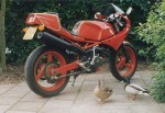 Информация по эксплуатации, максимальная скорость, расход топлива, фото и видео мотоциклов Saturno 350 (1988)