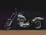  Мотоцикл FXST Softail Standard (2000): Эксплуатация, руководство, цены, стоимость и расход топлива 