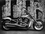  Мотоцикл VRSCA V-Rod 100th Anniversary Edition (2003): Эксплуатация, руководство, цены, стоимость и расход топлива 