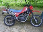  Мотоцикл 350 X2 Kanguro (1984): Эксплуатация, руководство, цены, стоимость и расход топлива 