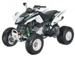  Мотоцикл 300 DVX (2009): Эксплуатация, руководство, цены, стоимость и расход топлива 
