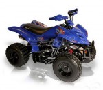  Мотоцикл BX110-S Tracker (2010): Эксплуатация, руководство, цены, стоимость и расход топлива 