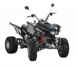  Мотоцикл APO 300 (2009): Эксплуатация, руководство, цены, стоимость и расход топлива 