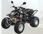  Мотоцикл MAM 250 (2009): Эксплуатация, руководство, цены, стоимость и расход топлива 