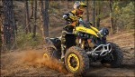  Мотоцикл Renegade 800 EFI (2010): Эксплуатация, руководство, цены, стоимость и расход топлива 