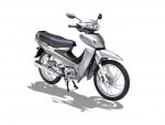  Мотоцикл Frog 125 (2008): Эксплуатация, руководство, цены, стоимость и расход топлива 
