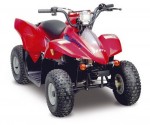  Мотоцикл Quad Mini Rex 50 (2009): Эксплуатация, руководство, цены, стоимость и расход топлива 