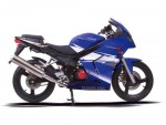 Информация по эксплуатации, максимальная скорость, расход топлива, фото и видео мотоциклов Roadwin R 125 FI (2009)