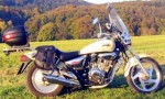 Информация по эксплуатации, максимальная скорость, расход топлива, фото и видео мотоциклов VT 125 Evolution (2001)