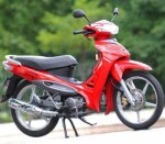  Мотоцикл Zig (2011): Эксплуатация, руководство, цены, стоимость и расход топлива 