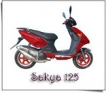 Информация по эксплуатации, максимальная скорость, расход топлива, фото и видео мотоциклов Sakya 125 (2007)