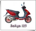 Sakya 125 (2007)