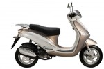  Мотоцикл Flexi 50 (2009): Эксплуатация, руководство, цены, стоимость и расход топлива 
