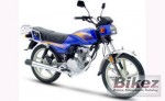  Мотоцикл Trooper 125 (2010): Эксплуатация, руководство, цены, стоимость и расход топлива 